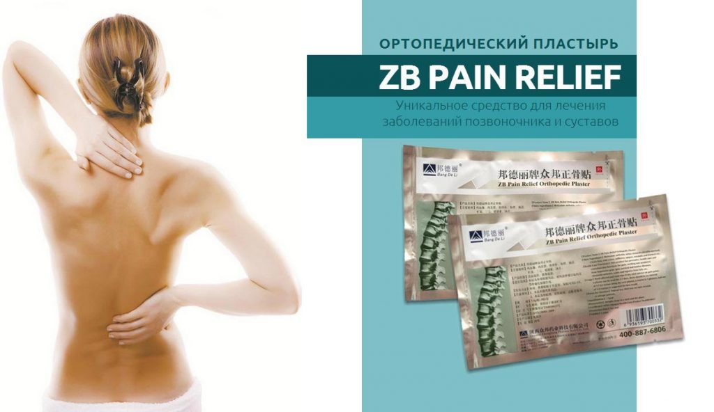 ZB Pain Relief Plaster