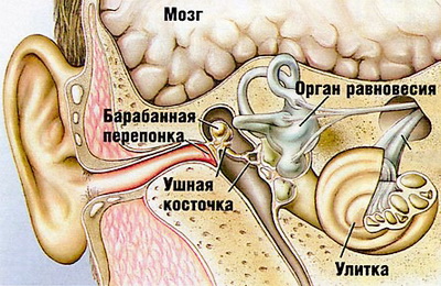 Зуд в ушах бывает вызван опасными и безопасными причинами