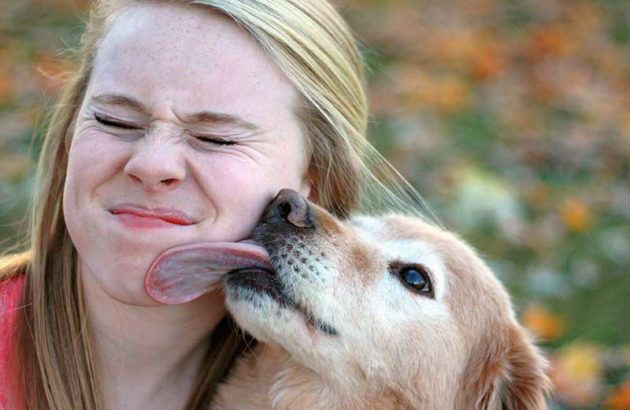 Аллергия на слюну собаки