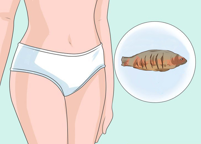 Запах рыбы у женщин причины лечение. Пахнет рыбой. Неприятный запах рыбы. Рыбный запах из влагалища. Из вагины пахнет рыбой.