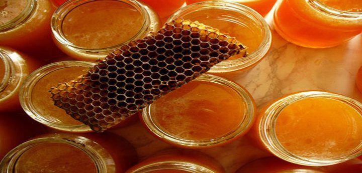 мед - продукт пчеловодства