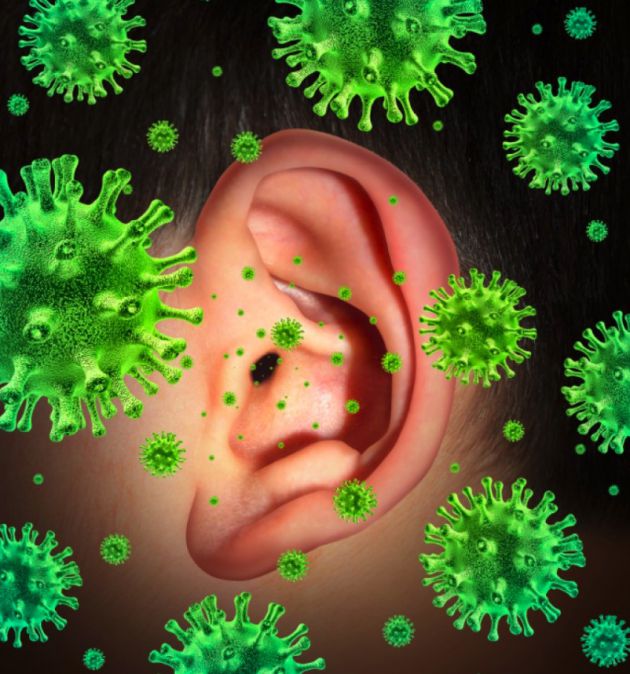 бактерии в ушах